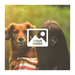 Basic 3/8" Border - 10x10 Wall Decal Design